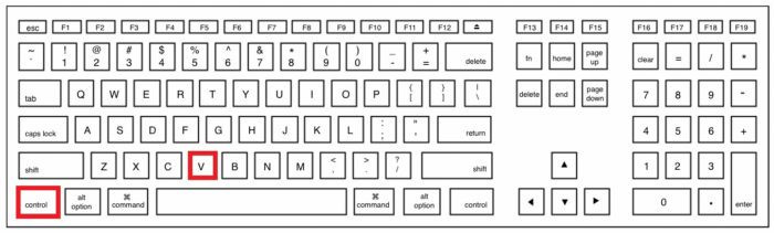 Чтобы быстро вставить документ в Word, нажмите комбинацию клавиш «Ctrl+V»